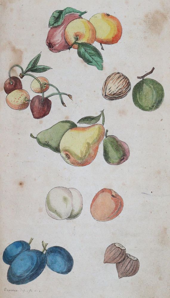 Große Abbildung Nr.6: 144-885 Löhr,J.A.C.: (Kinder- und Jugendbücher)