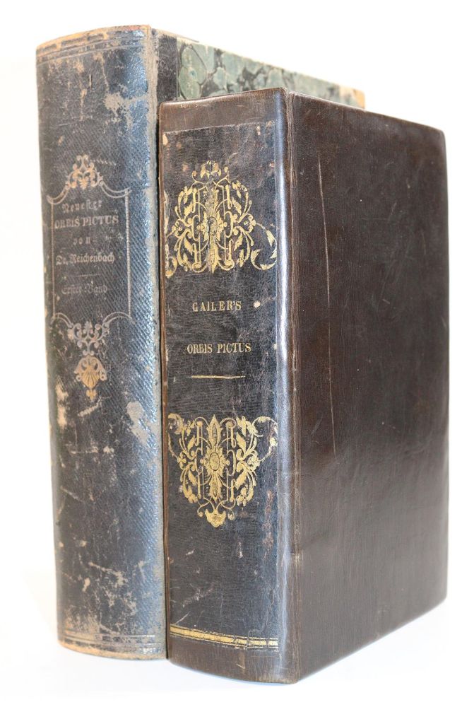 Große Abbildung Nr.6: 144-899 Gailer,J.E.: (Orbis Pictus)