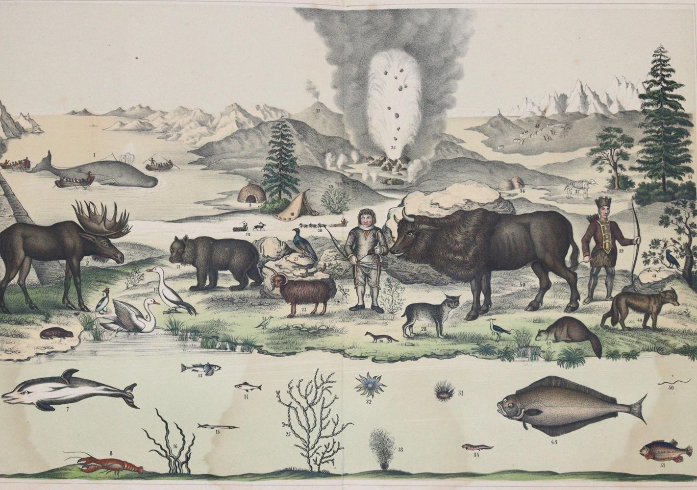 Große Abbildung Nr.3: 144-910 Panorama: (Kinder- und Jugendbücher)