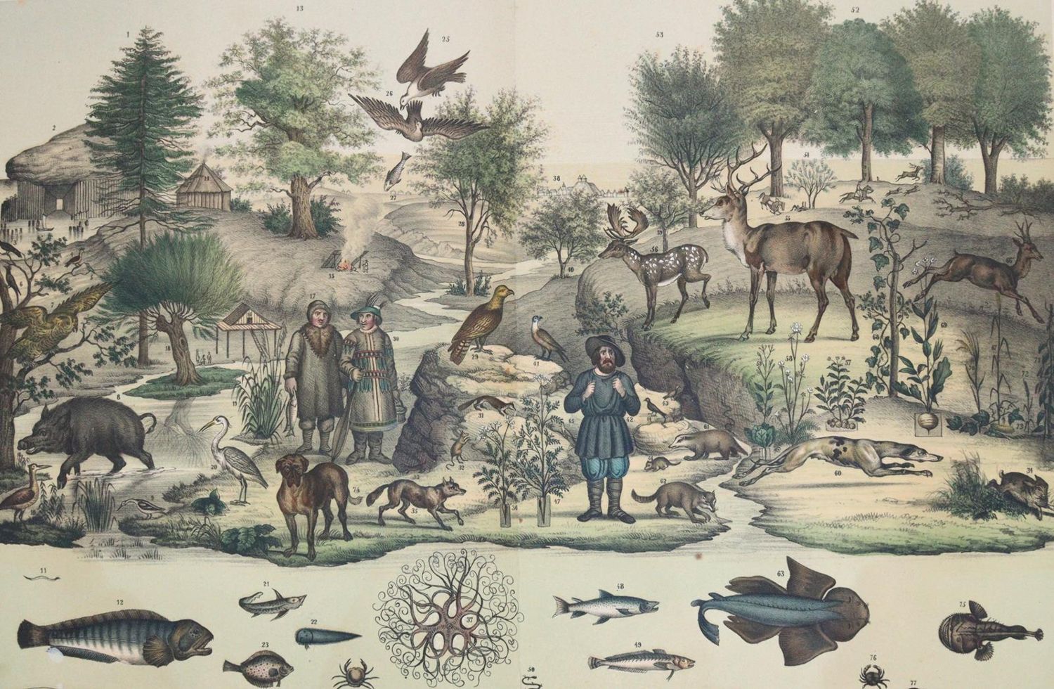 Große Abbildung Nr.4: 144-910 Panorama: (Kinder- und Jugendbücher)