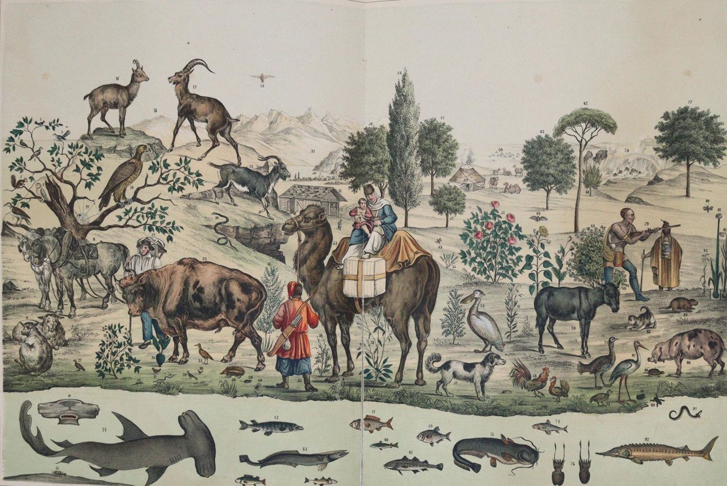 Große Abbildung Nr.5: 144-910 Panorama: (Kinder- und Jugendbücher)