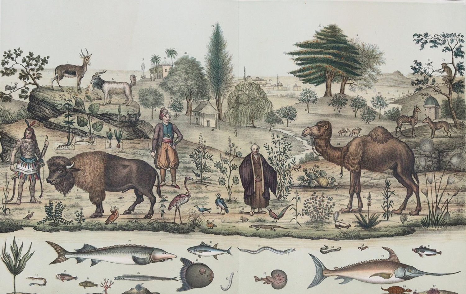 Große Abbildung Nr.6: 144-910 Panorama: (Kinder- und Jugendbücher)