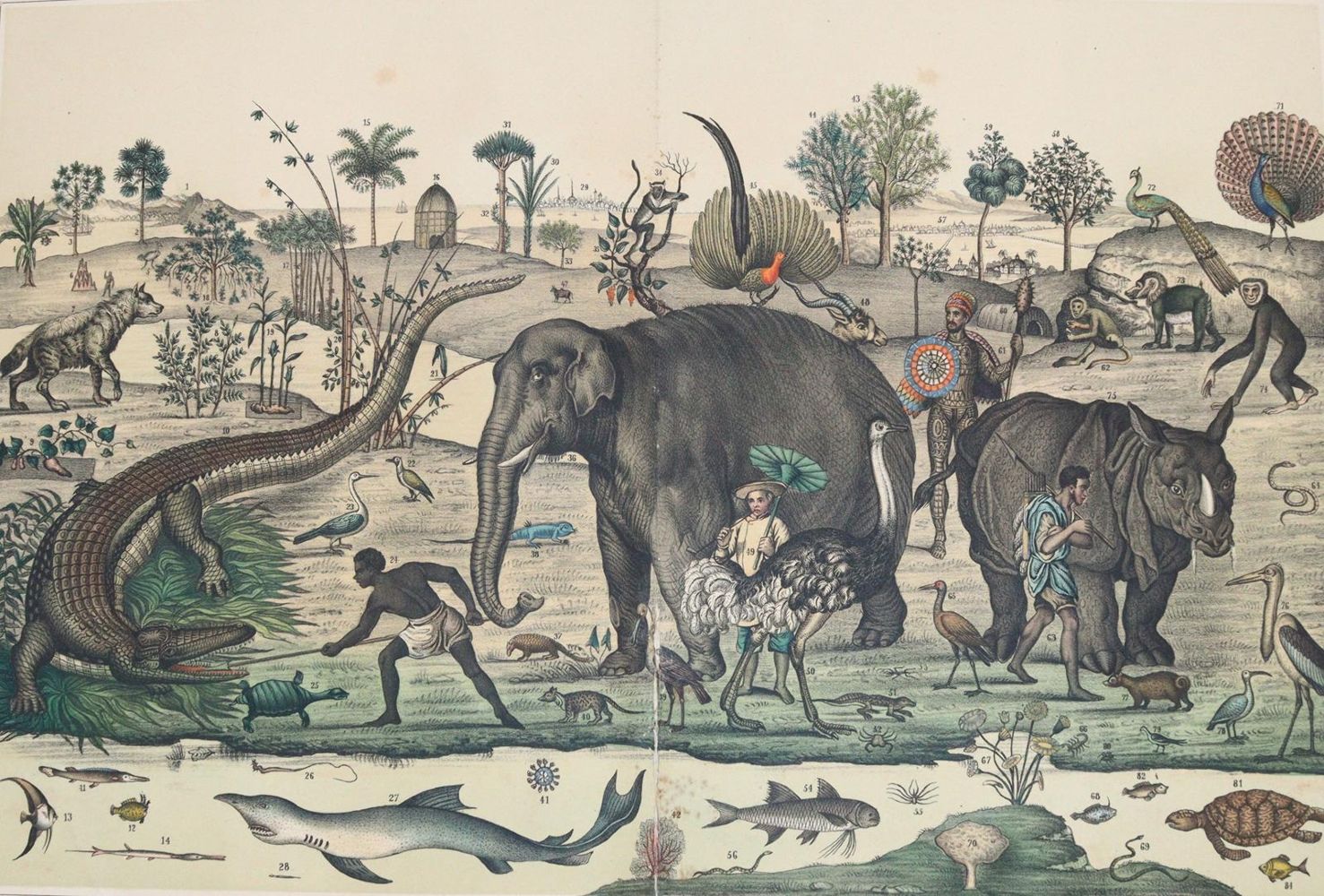 Große Abbildung Nr.7: 144-910 Panorama: (Kinder- und Jugendbücher)