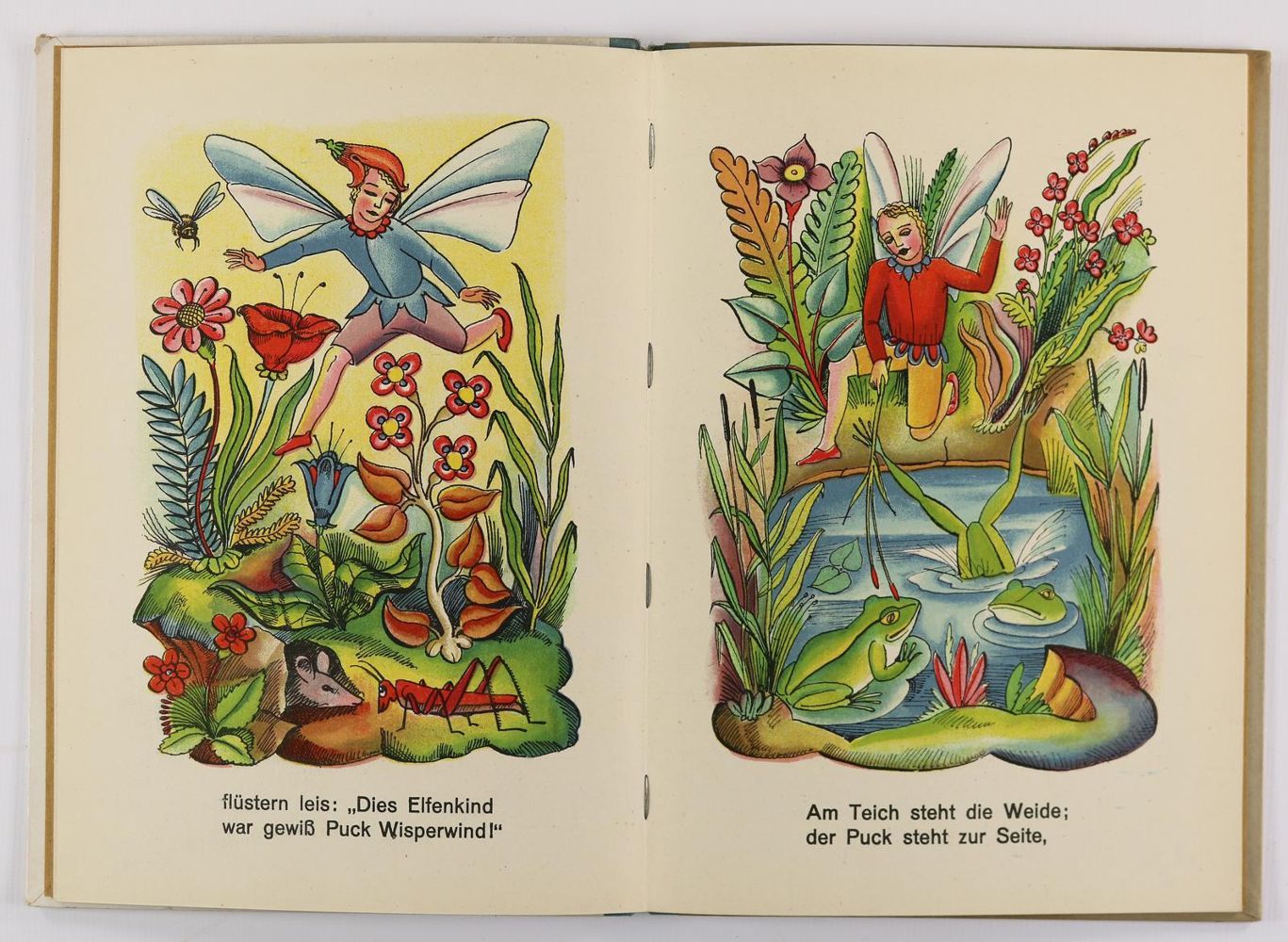 Große Abbildung Nr.2: 144-916 Probst,H.: (Kinder- und Jugendbücher)
