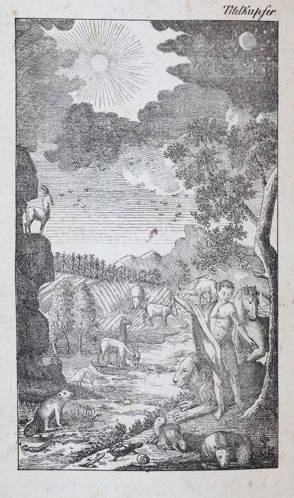 Große Abbildung Nr.2: 144-918 Raff,G.C.: (Kinder- und Jugendbücher)
