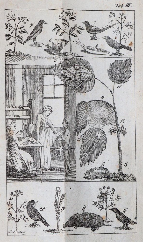 Große Abbildung Nr.4: 144-918 Raff,G.C.: (Kinder- und Jugendbücher)