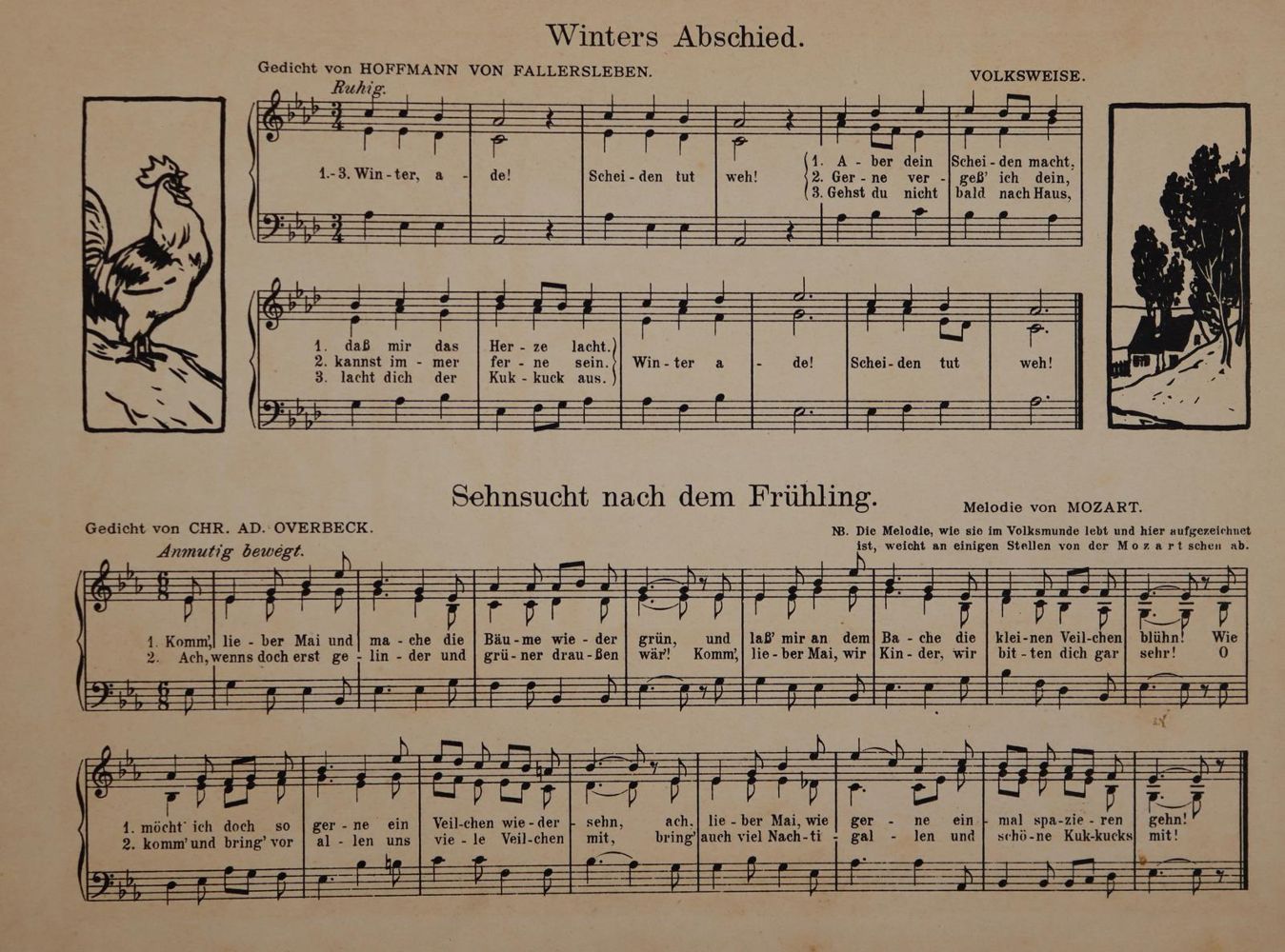 Große Abbildung Nr.3: 144-931 Scholz,B.: (Kinder- und Jugendbücher)