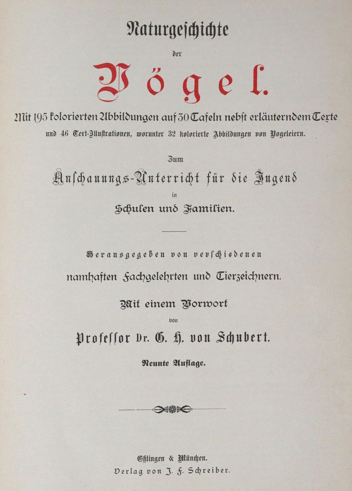 Große Abbildung Nr.1: 144-937 Schubert,G.H.v.: (Kinder- und Jugendbücher)