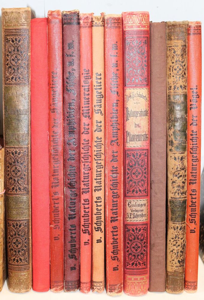 Große Abbildung Nr.6: 144-937 Schubert,G.H.v.: (Kinder- und Jugendbücher)