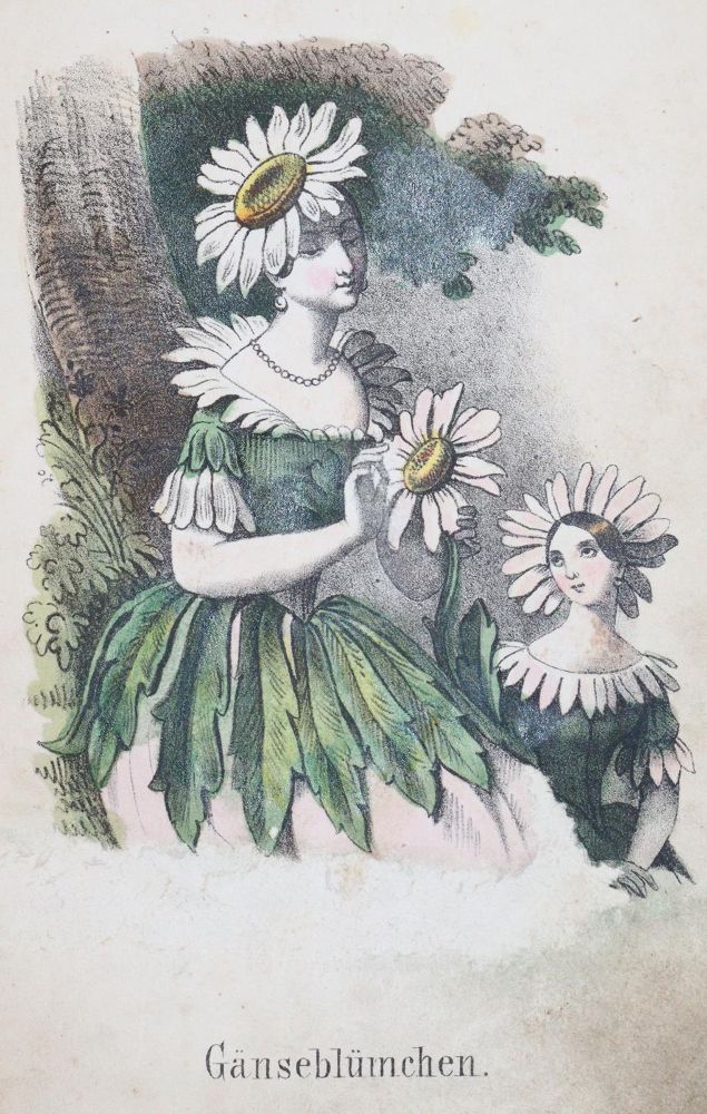 Große Abbildung Nr.2: 144-943 Sprechenden Blumen, Die.: (Kinder- und Jugendbücher)