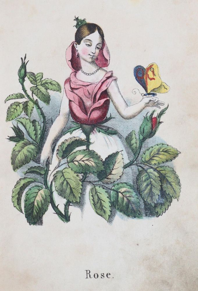 Große Abbildung Nr.5: 144-943 Sprechenden Blumen, Die.: (Kinder- und Jugendbücher)