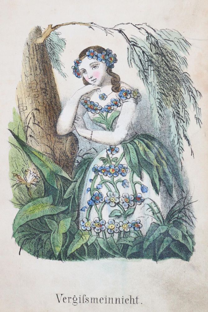 Große Abbildung Nr.6: 144-943 Sprechenden Blumen, Die.: (Kinder- und Jugendbücher)
