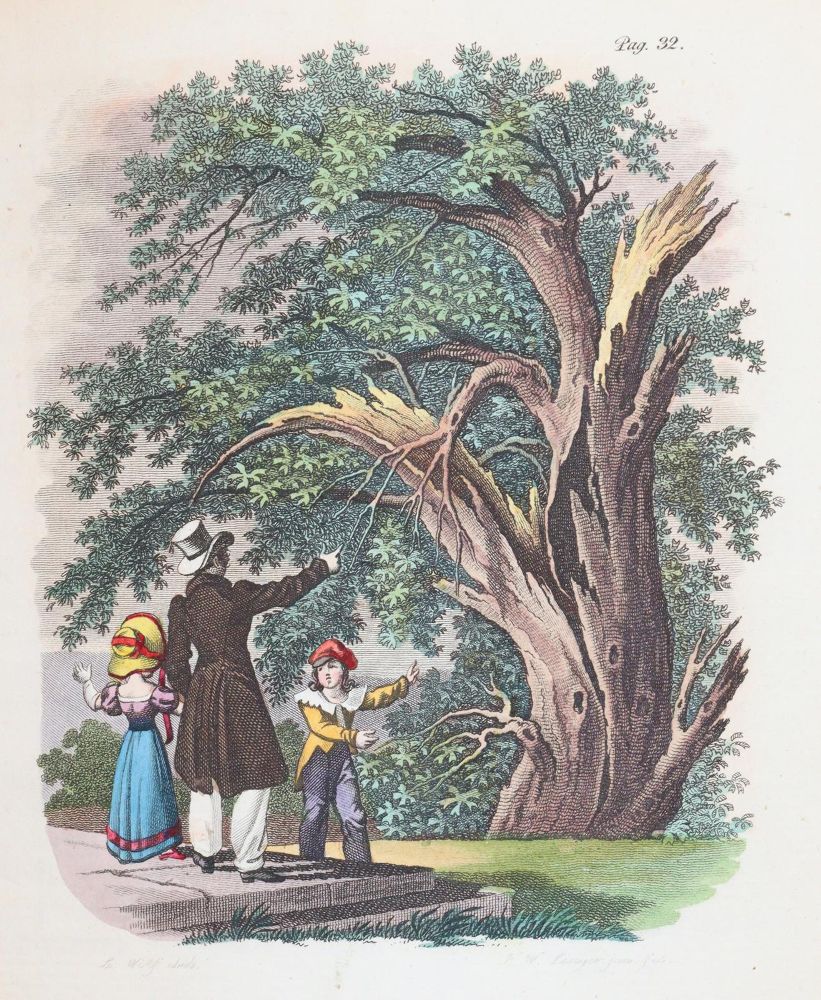 Große Abbildung Nr.3: 144-947 Thieme,M.: (Kinder- und Jugendbücher)