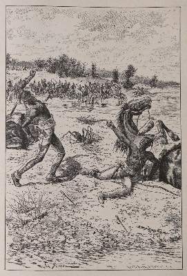 Bild Nr.2: 144-1039 Sammlung: (May)
