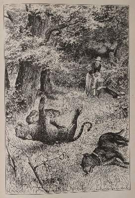Bild Nr.6: 144-1039 Sammlung: (May)