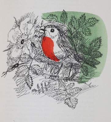 Bild Nr.6: 144-1111 Boccacio,G.di.: (Literatur und illustrierte Bücher 20.Jahrhundert - Alte Literatur in modernen Ausgaben)