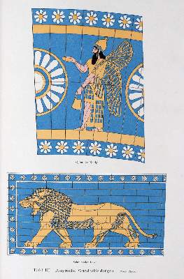Bild Nr.3: 144-1137 Hellbrauner Ganzleder: (Einband)