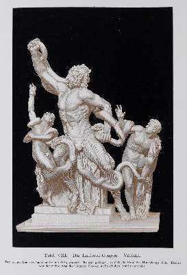Bild Nr.5: 144-1137 Hellbrauner Ganzleder: (Einband)