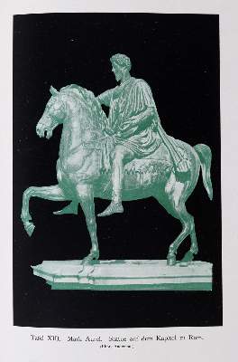 Bild Nr.6: 144-1137 Hellbrauner Ganzleder: (Einband)