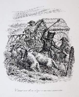 Bild Nr.3: 144-1207 La Fontaine,J.de.: (Literatur und illustrierte Bücher 20.Jahrhundert - Alte Literatur in modernen Ausgaben)