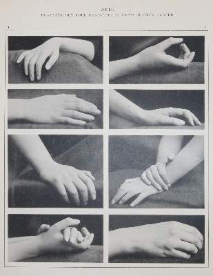 Bild Nr.2: 144-1241 Eickmann,H.: (Photographie)