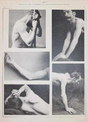 Bild Nr.6: 144-1241 Eickmann,H.: (Photographie)