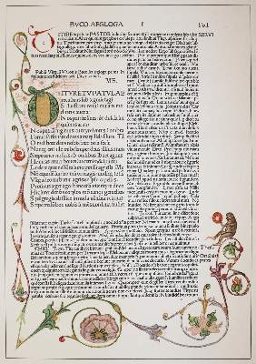 Bild Nr.2: 144-1294 Crous,E.: (Vergil)