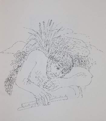 Bild Nr.1: 144-1300 Mallarmé,S.: (Weidenhaus)