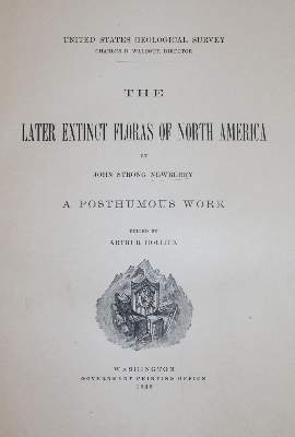 Bild Nr.3: 144-1307 Newberry,J.S.: (Botanik, Amerika)