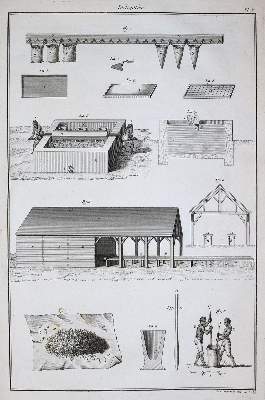 Bild Nr.3: 144-1315 Beauvais-Raseau,P.de.: (Botanik, Indigo)