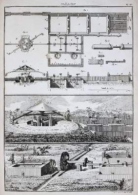 Bild Nr.4: 144-1315 Beauvais-Raseau,P.de.: (Botanik, Indigo)
