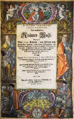 Bild Nr.116: 144-1318 Tabernaemontanus,J.T.: (Botanik, Kräuterbücher)