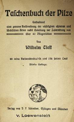 Bild Nr.4: 144-1325 Sammlung: (Botanik, Pilze)