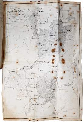 Bild Nr.2: 144-1328 Schnittspahn,G.F.: (Botanik)