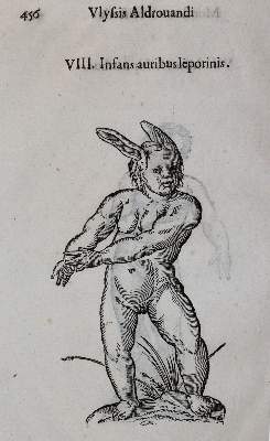 Bild Nr.1: 144-1335 Aldrovandi,U.: (Medizin)