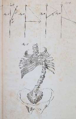 Bild Nr.3: 144-1340 Bampfield,R.W.: (Medizin)