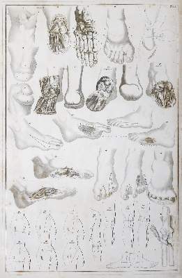 Bild Nr.6: 144-1347 Blasius,E.: (Medizin)