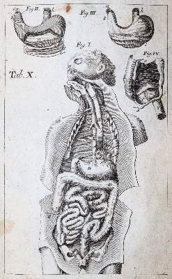 Bild Nr.3: 144-1363 Eschenbach,C.E.: (Medizin)