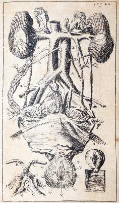 Bild Nr.3: 144-1371 Dionis,P.: (Medizin, Gynäkologie)