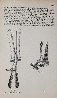 Bild Nr.11: 144-1372 Siebold,E.C.J.v.: (Medizin, Gynäkologie)