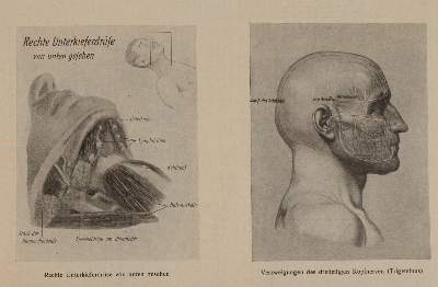 Bild Nr.2: 144-1392 Leipziger Populäre Zeitschrift: (Medizin, Homöopathie)