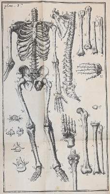 Bild Nr.2: 144-1409 Noguez,(P.N.).: (Medizin)