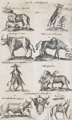 Bild Nr.3: 144-1445 Aldrovandi,U.: (Zoologie)