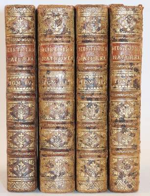 Bild Nr.5: 144-1447 (Buffon,G.L.L.).: (Zoologie)