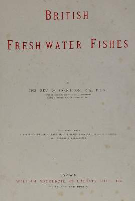 Bild Nr.3: 144-1450 Houghton,W.: (Zoologie, Fische)