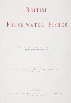 Bild Nr.4: 144-1451 Houghton,W.: (Zoologie, Fische)
