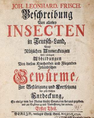 Bild Nr.1: 144-1454 Frisch,J.L.: (Zoologie, Insekten)