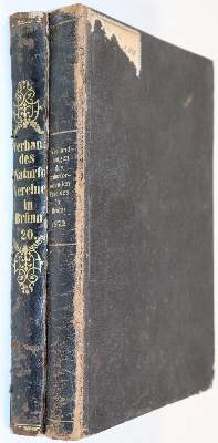 Bild Nr.2: 144-1456 Reitter,E.: (Zoologie, Insekten)