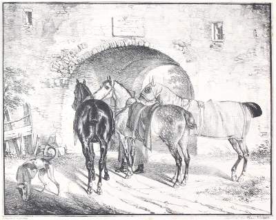 Bild Nr.1: 144-1459 Krüger, Franz: (Zoologie, Pferde)