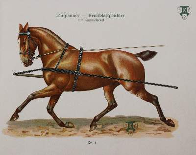 Bild Nr.3: 144-1460 Leisering,A.G.T.: (Zoologie, Pferde)
